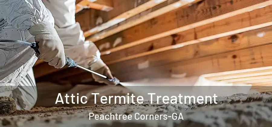 Attic Termite Treatment Peachtree Corners-GA