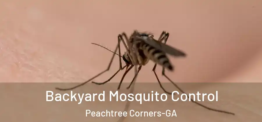  Backyard Mosquito Control Peachtree Corners-GA