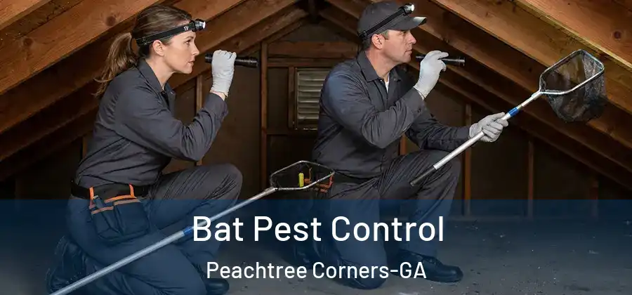 Bat Pest Control Peachtree Corners-GA