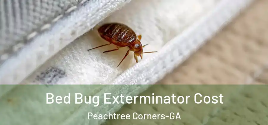 Bed Bug Exterminator Cost Peachtree Corners-GA