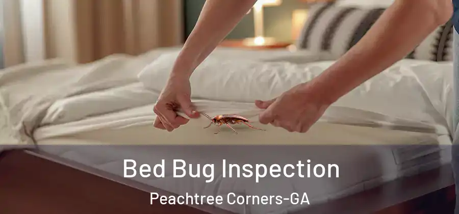 Bed Bug Inspection Peachtree Corners-GA