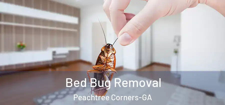 Bed Bug Removal Peachtree Corners-GA