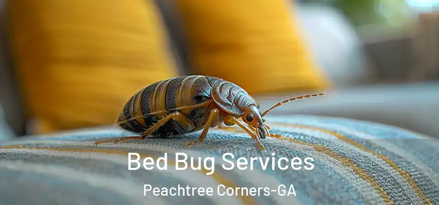  Bed Bug Services Peachtree Corners-GA