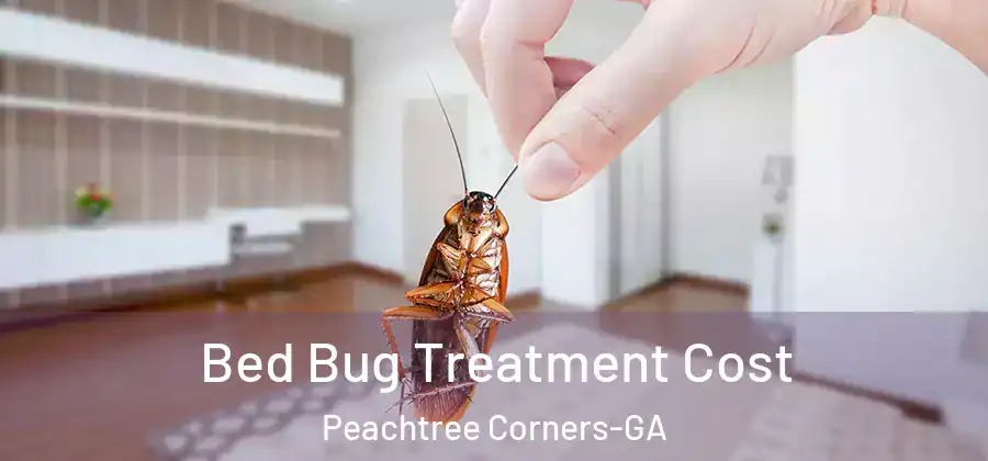 Bed Bug Treatment Cost Peachtree Corners-GA