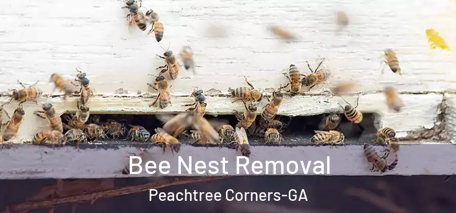 Bee Nest Removal Peachtree Corners-GA