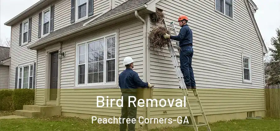  Bird Removal Peachtree Corners-GA