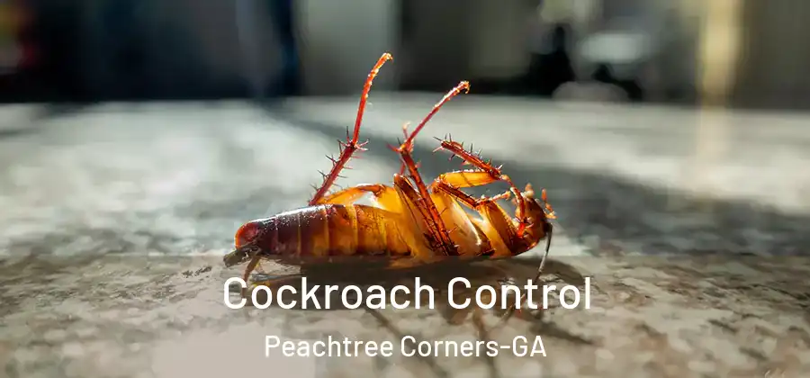  Cockroach Control Peachtree Corners-GA