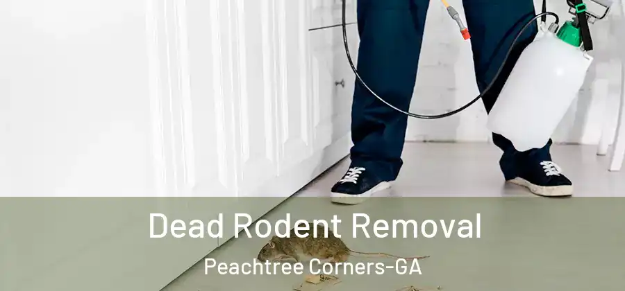 Dead Rodent Removal Peachtree Corners-GA