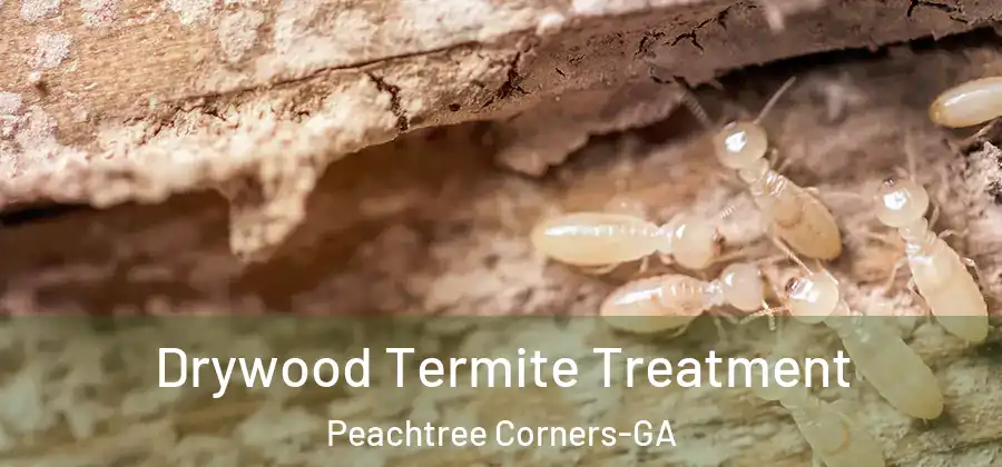  Drywood Termite Treatment Peachtree Corners-GA