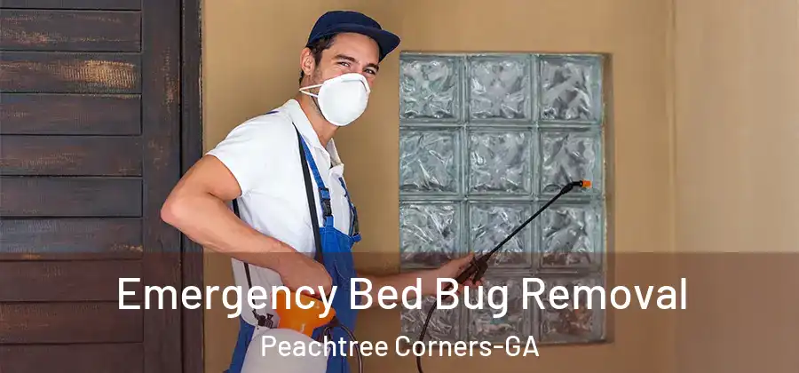 Emergency Bed Bug Removal Peachtree Corners-GA