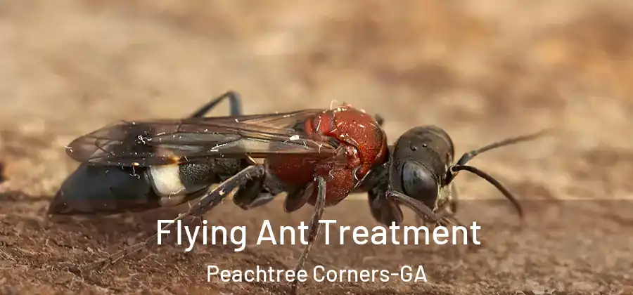  Flying Ant Treatment Peachtree Corners-GA