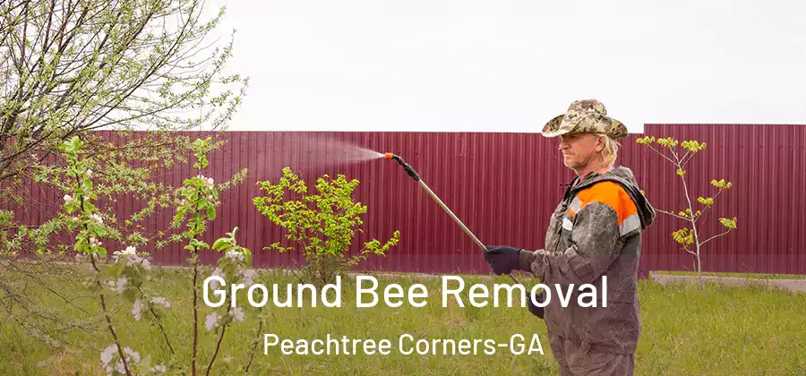 Ground Bee Removal Peachtree Corners-GA
