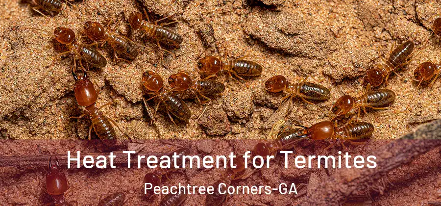 Heat Treatment for Termites Peachtree Corners-GA