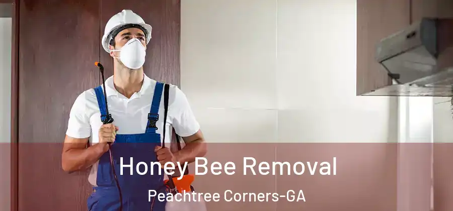 Honey Bee Removal Peachtree Corners-GA