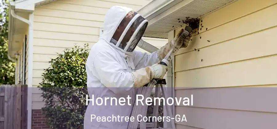  Hornet Removal Peachtree Corners-GA