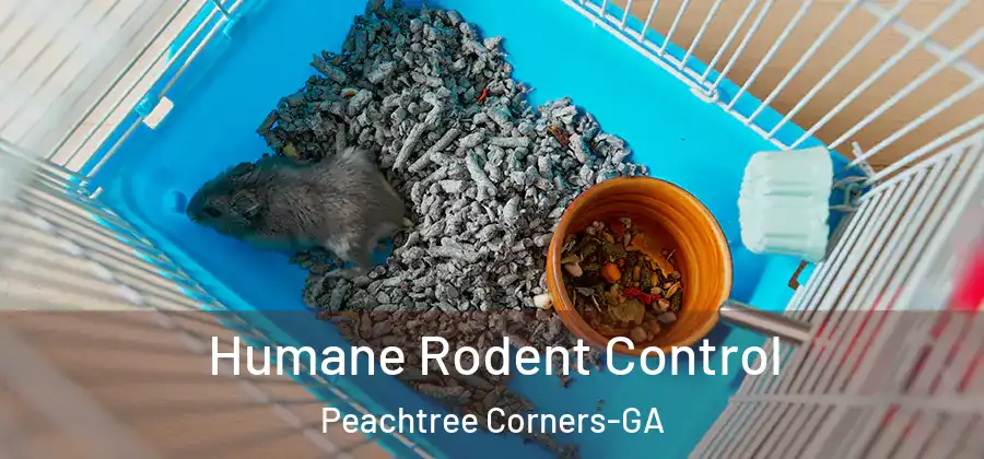  Humane Rodent Control Peachtree Corners-GA