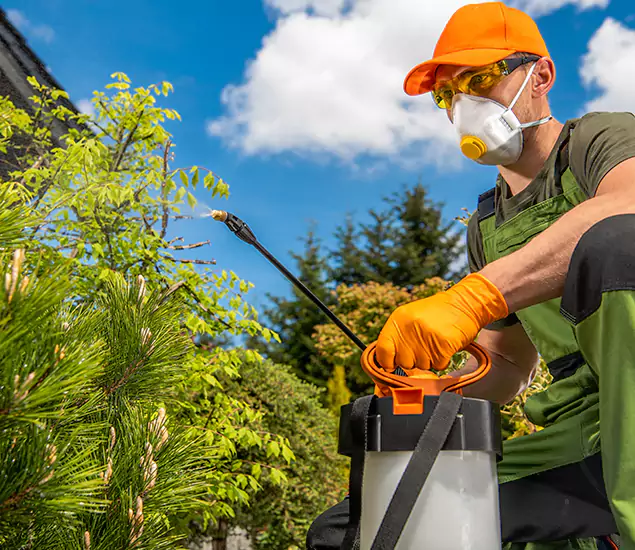 Your Best Bug Spray for Home Team in Peachtree Corners, GA