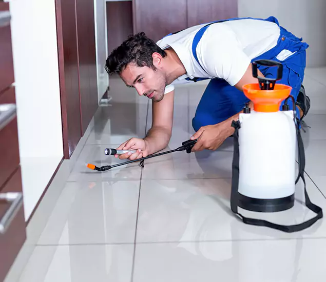 Trusted Rat Control Services Specialists in Peachtree Corners, GA