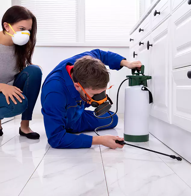 Why Peachtree Corners, GA Homeowners Trust Peachtree Corners Pest Control Pro for Roach Control?