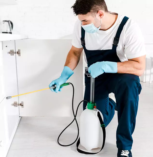 Why Choose Peachtree Corners Pest Control Pro for Termite Spot Treatment in Peachtree Corners, GA?