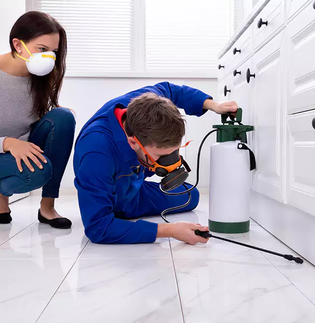 Why Choose Wood Termite Treatment by Peachtree Corners Pest Control Pro in Peachtree Corners, GA?