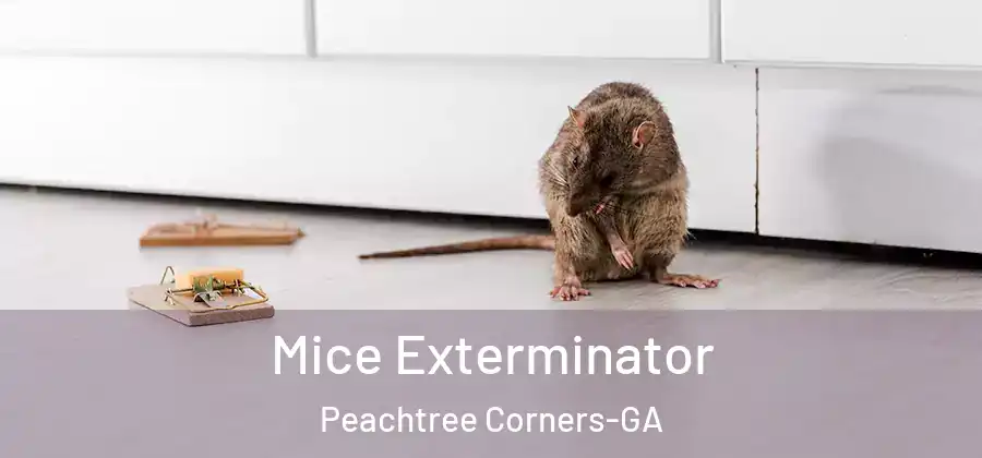Mice Exterminator Peachtree Corners-GA