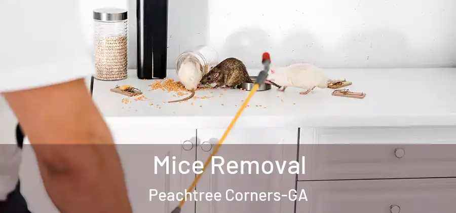  Mice Removal Peachtree Corners-GA