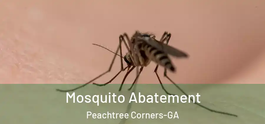 Mosquito Abatement Peachtree Corners-GA