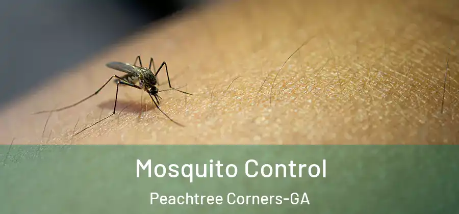 Mosquito Control Peachtree Corners-GA