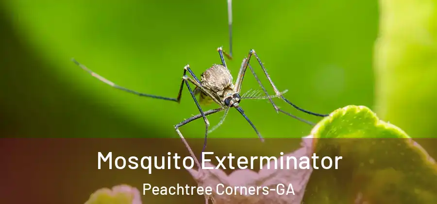 Mosquito Exterminator Peachtree Corners-GA