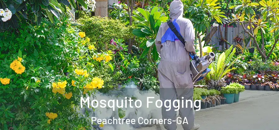 Mosquito Fogging Peachtree Corners-GA