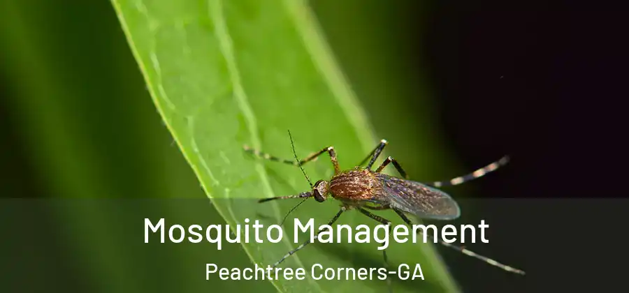 Mosquito Management Peachtree Corners-GA