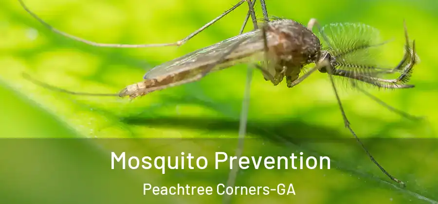 Mosquito Prevention Peachtree Corners-GA