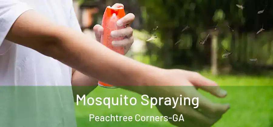 Mosquito Spraying Peachtree Corners-GA