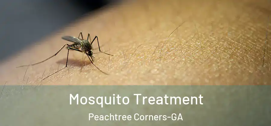 Mosquito Treatment Peachtree Corners-GA