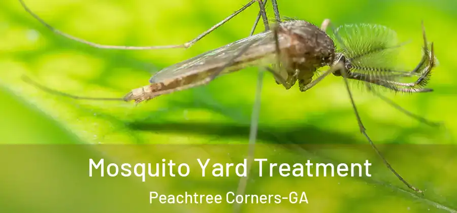 Mosquito Yard Treatment Peachtree Corners-GA