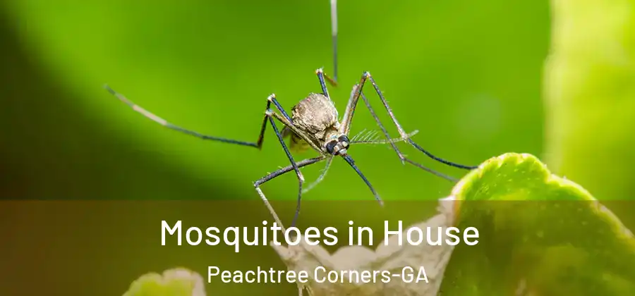 Mosquitoes in House Peachtree Corners-GA