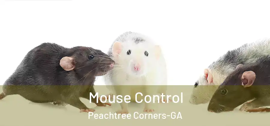  Mouse Control Peachtree Corners-GA