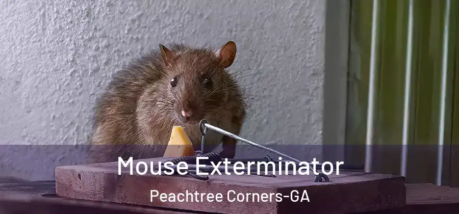  Mouse Exterminator Peachtree Corners-GA