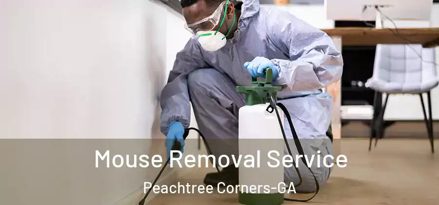 Mouse Removal Service Peachtree Corners-GA