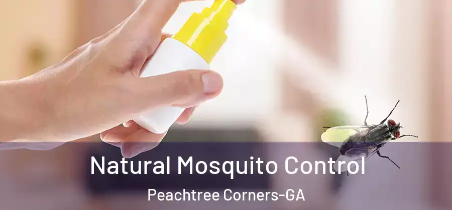  Natural Mosquito Control Peachtree Corners-GA
