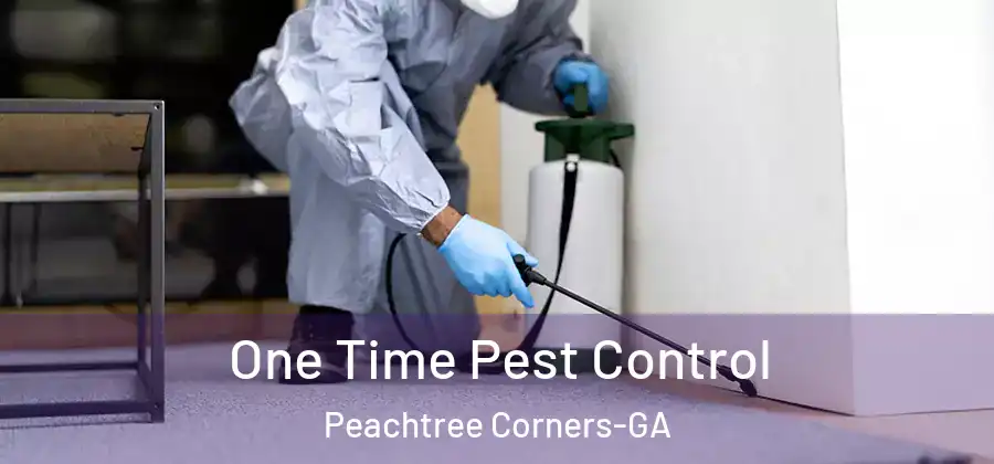  One Time Pest Control Peachtree Corners-GA