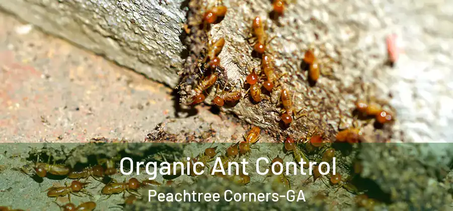 Organic Ant Control Peachtree Corners-GA