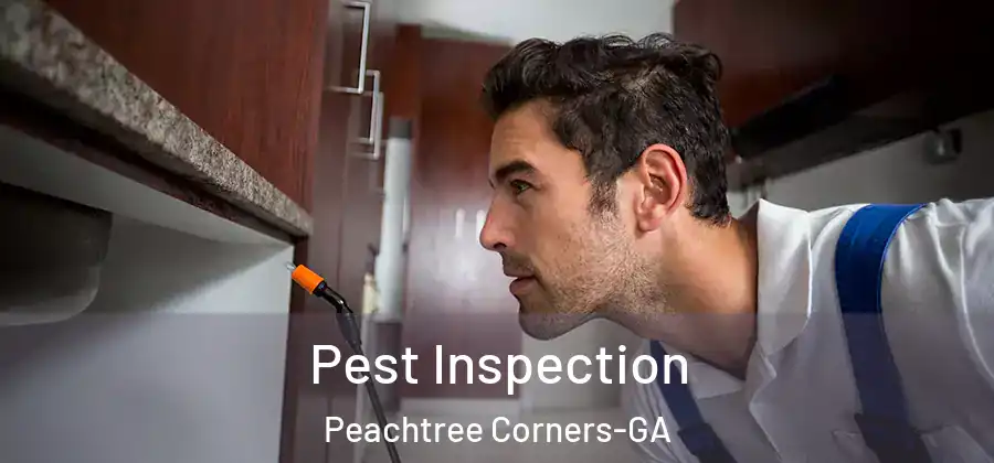 Pest Inspection Peachtree Corners-GA