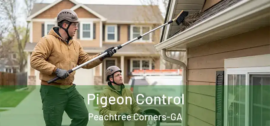 Pigeon Control Peachtree Corners-GA