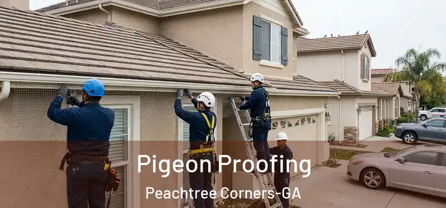 Pigeon Proofing Peachtree Corners-GA