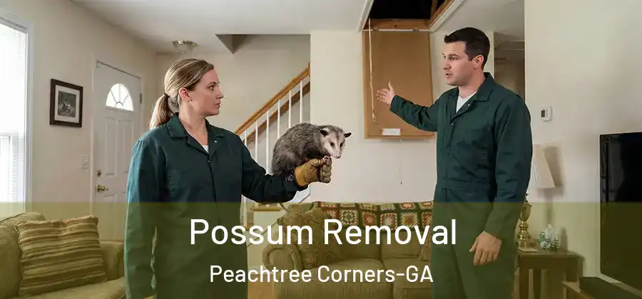 Possum Removal Peachtree Corners-GA