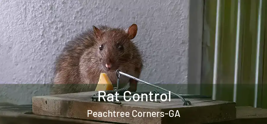 Rat Control Peachtree Corners-GA