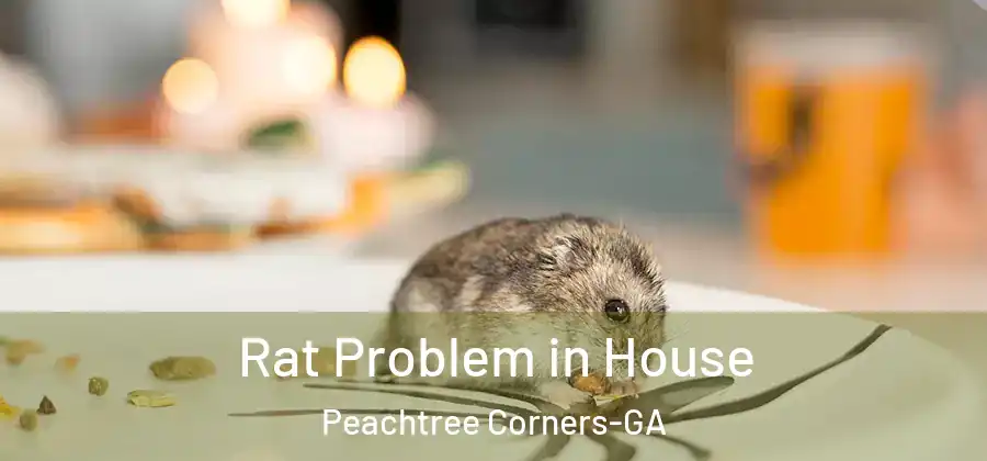  Rat Problem in House Peachtree Corners-GA