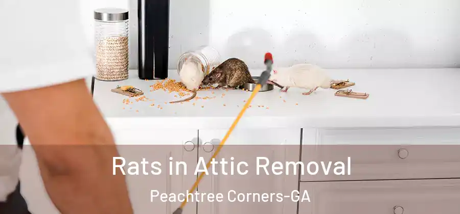 Rats in Attic Removal Peachtree Corners-GA